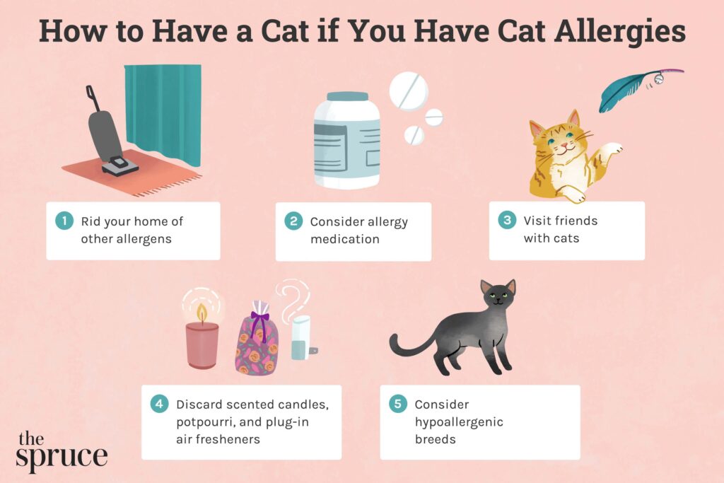 Dealing With Cat Allergies: Provide Tips for Managing Cat Allergies in the Household